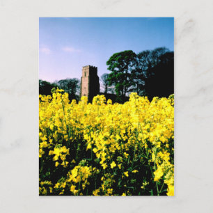 Glory   Postcard