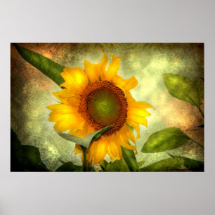 Glory (Sunflower Poster) Poster