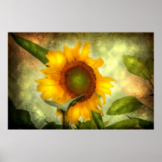 Glory (Sunflower Poster) Poster
