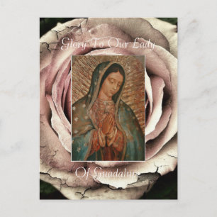 Glory To Our Lady Of Guadalupe Postcard
