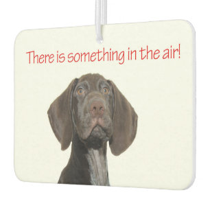 Glossy Grizzly Air Freshener