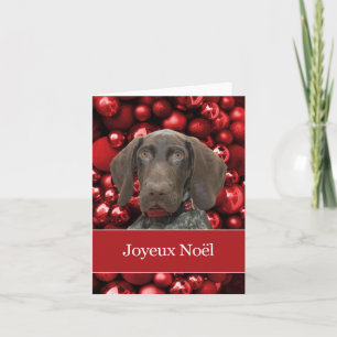 Glossy Grizzly Christmas Joyeux Noël Holiday Card