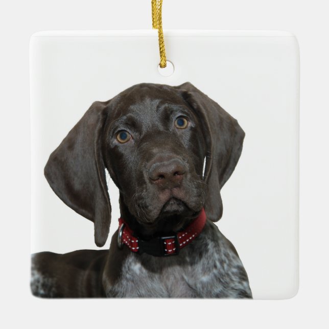 Glossy Grizzly Christmas Ornament (Front)