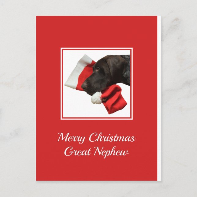Glossy Grizzly Great Nephew Merry Christmas Holiday Postcard (Front)
