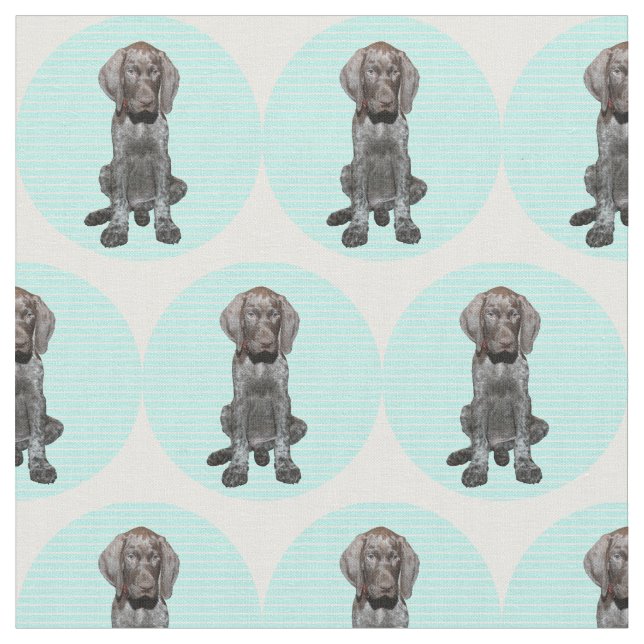 Glossy Grizzly in Blue Fabric (Close Up)