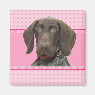 Glossy Grizzly in Pink Magnet
