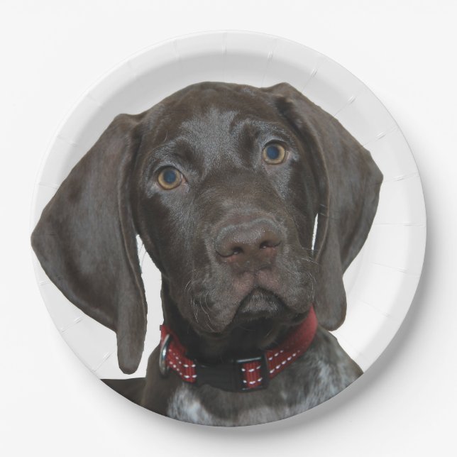 Glossy Grizzly Paper Plate (Front)