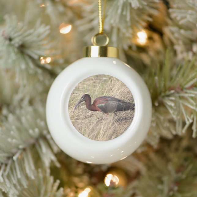 Glossy Ibis Bird  Ceramic Ball Christmas Ornament (Tree)