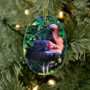Glossy Ibis  Ceramic Tree Decoration