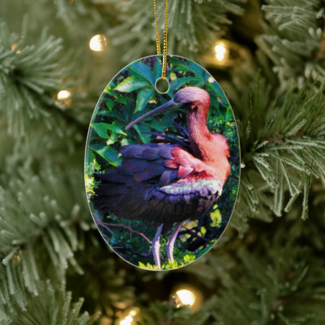 Glossy Ibis  Ceramic Tree Decoration (Tree)