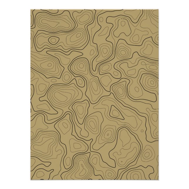 Glossy Topography Map Poster (Front)