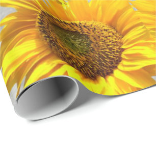 Glossy Wrapping Paper Cat Kitten