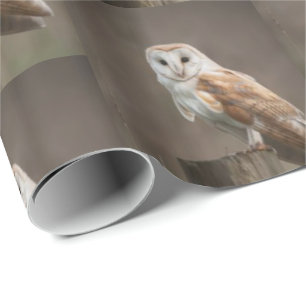 Glossy Wrapping Paper Owl