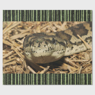 Glossy Wrapping Paper Snake