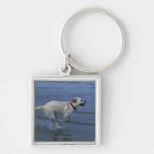 Gloucester, Massachusetts, USA 2 Key Ring