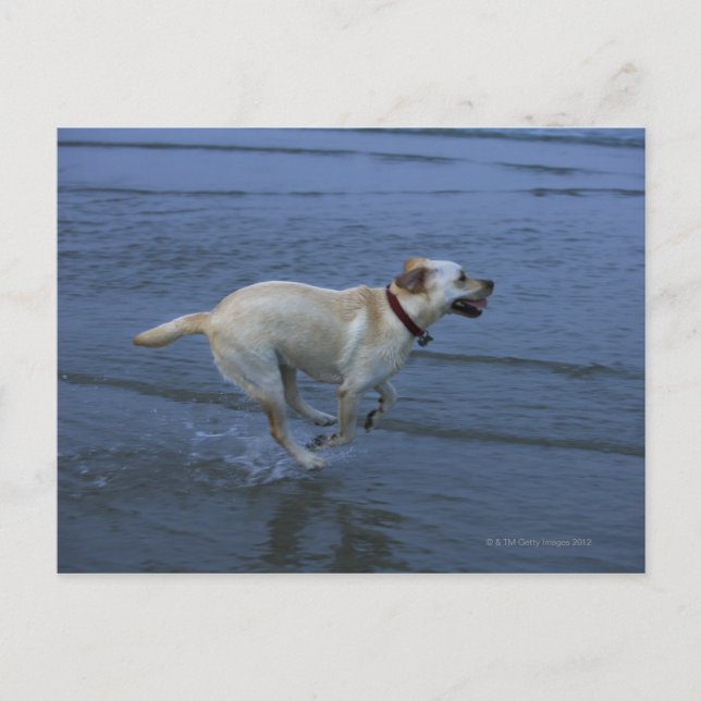 Gloucester, Massachusetts, USA 2 Postcard (Front)