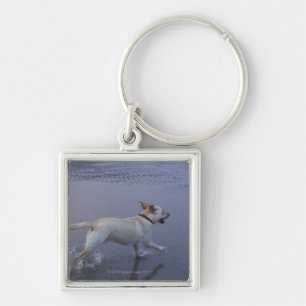 Gloucester, Massachusetts, USA Key Ring
