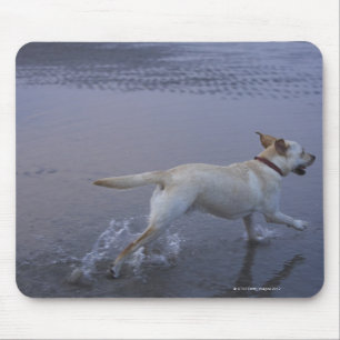 Gloucester, Massachusetts, USA Mouse Mat