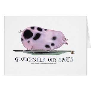 gloucester old spots, tony fernandes