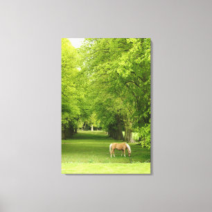 Gloucestershire, UK Canvas Print