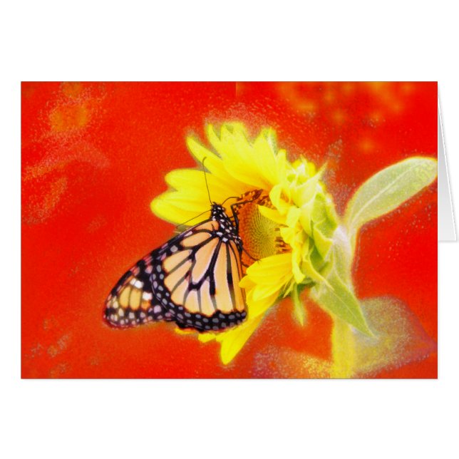 Glow (Front Horizontal)