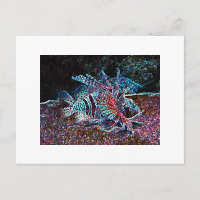 glow fish postcard (Front)
