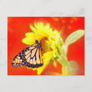Glow , postacrd postcard