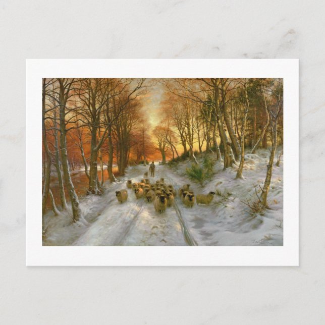 Glowed with Tints of Evening Hours Postcard (Front)