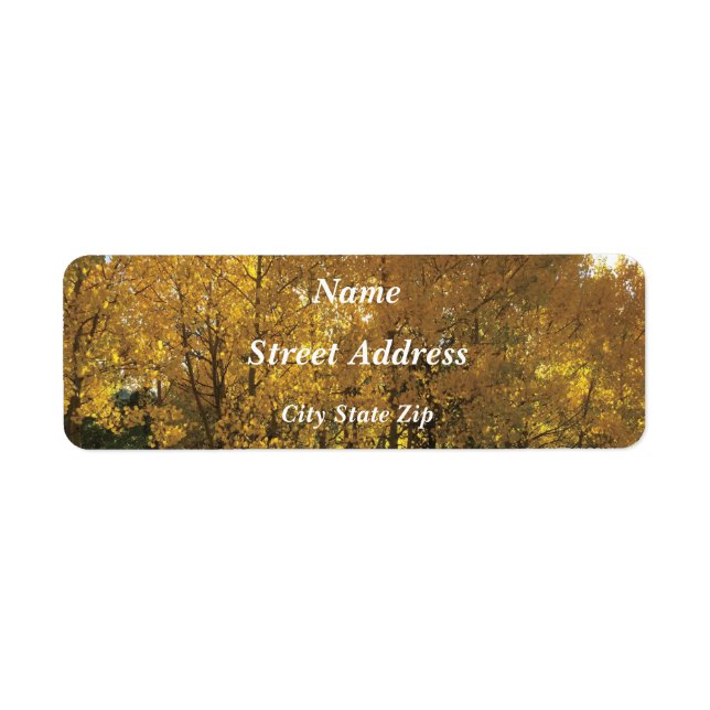 Glowing Aspen Trees (Front)