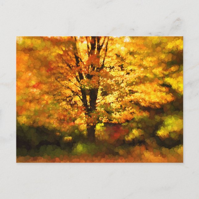 Glowing Autumn Tree Painting Postcard (Front)