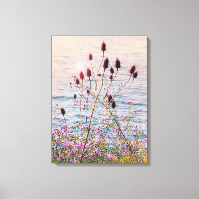 Glowing Back Lit Wild Teasels and Thistles Canvas Print (Front)