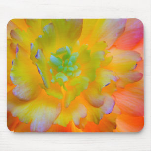 Glowing Begonia Blossom Seabeck, WA Mouse Mat