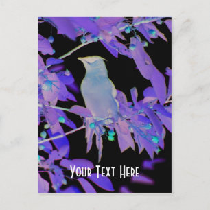 Glowing Bird On Branch Customisable Postcard