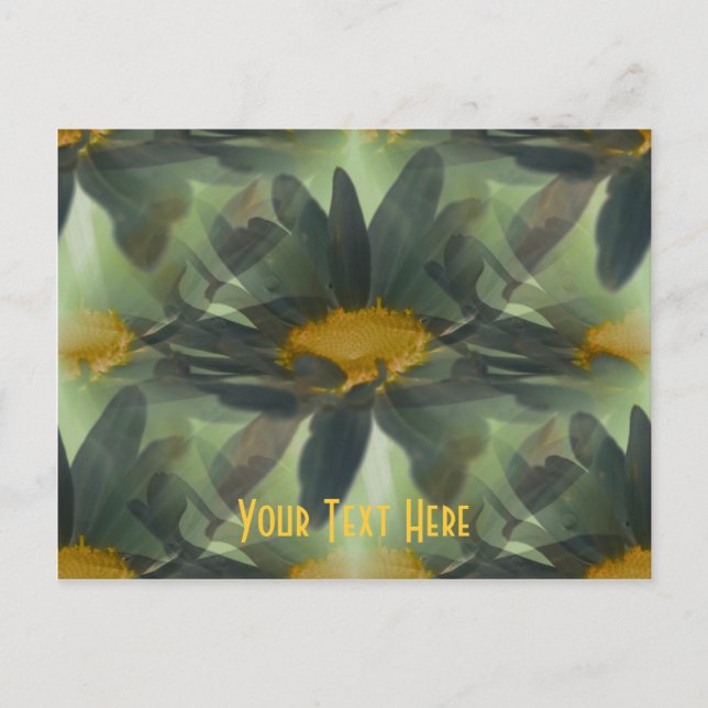 Glowing Black Daisies Floral Customisable Postcard (Front)