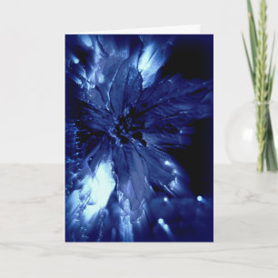 Glowing blue pointsetta on black Christmas card