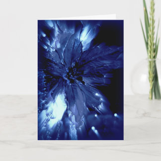 Glowing blue pointsetta on black Christmas card