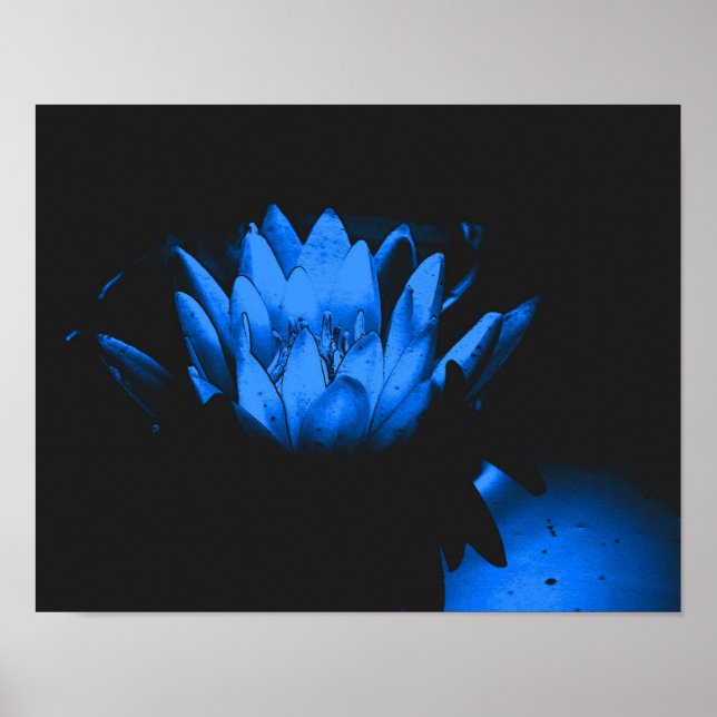 Glowing Blue Water Lily Lotus Flower Abstract Poster (Front)