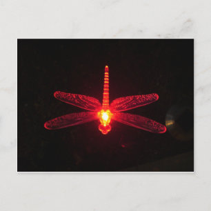 Glowing Dragonfly Postcard
