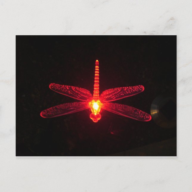 Glowing Dragonfly Postcard (Front)
