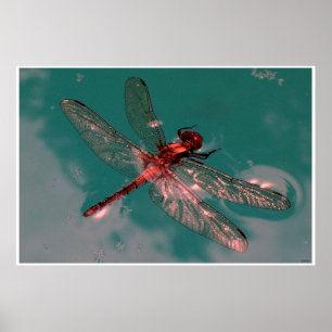 Glowing Dragonfly Poster