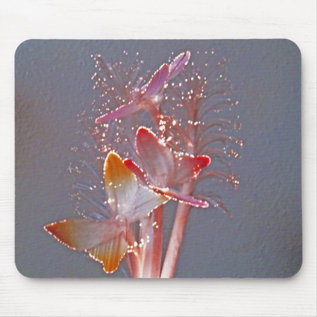 Glowing Fibre Optic Butterflies Mouse Mat (Front)