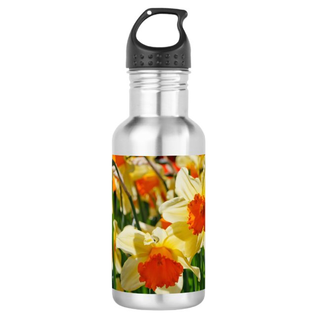 Glowing Flowers 710 Ml Water Bottle (Front)