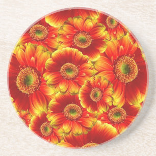 Glowing Gerbera Daisies Coaster