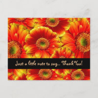 Glowing Gerbera Daisies Thank YOu