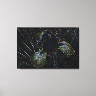 Glowing Iris Canvas Print
