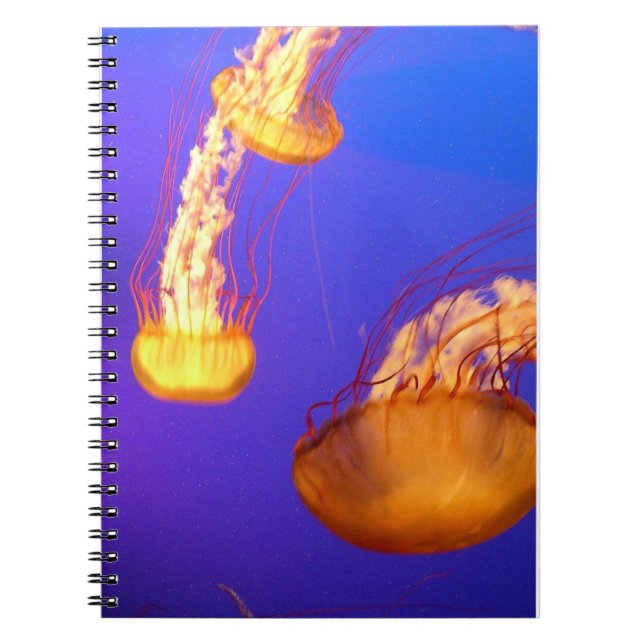 GLOWING JELLYFISH SPIRAL BOUND NOTEBOOK (Front)