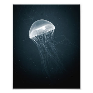 Glowing Jellyfish   Underwater Photography Photo Print