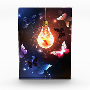 Glowing Light Bulb with Night Butterflies Photo Block