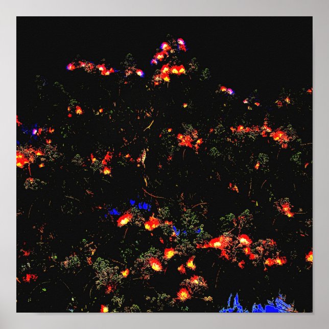 Glowing Mimosa Tree  Poster (Front)