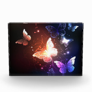 Glowing Night Butterflies Photo Block